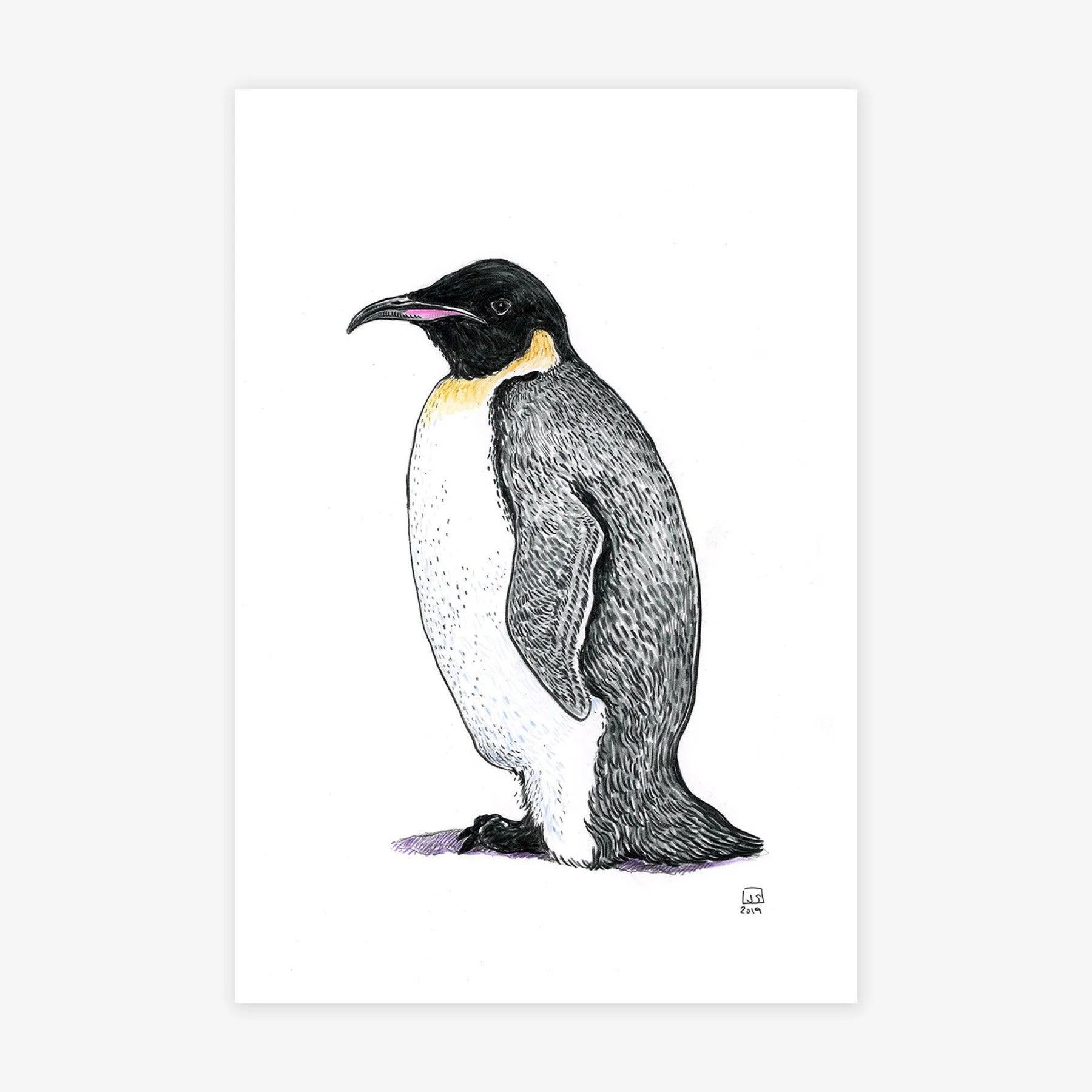 Emperor Penguin