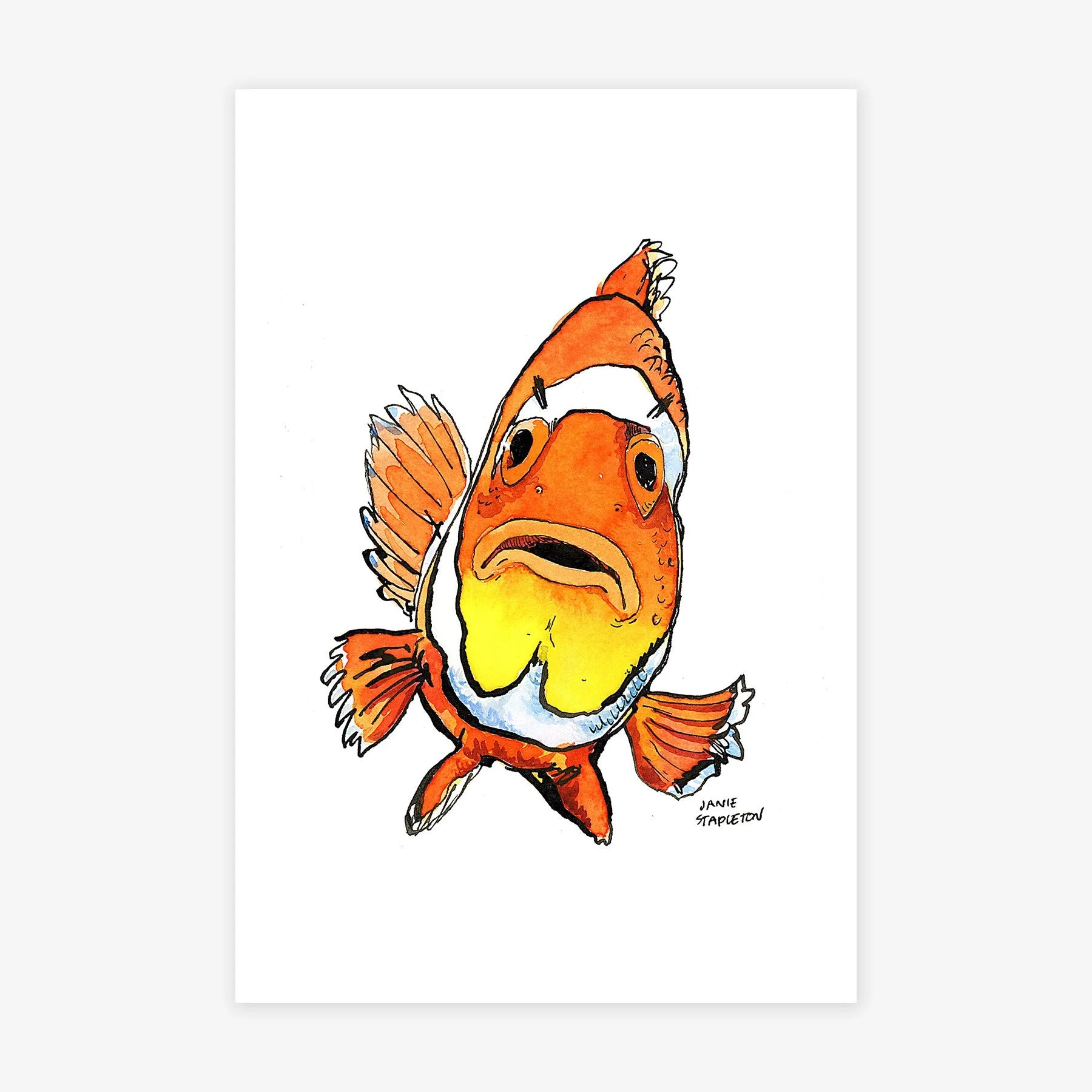 Clownfish Study II
