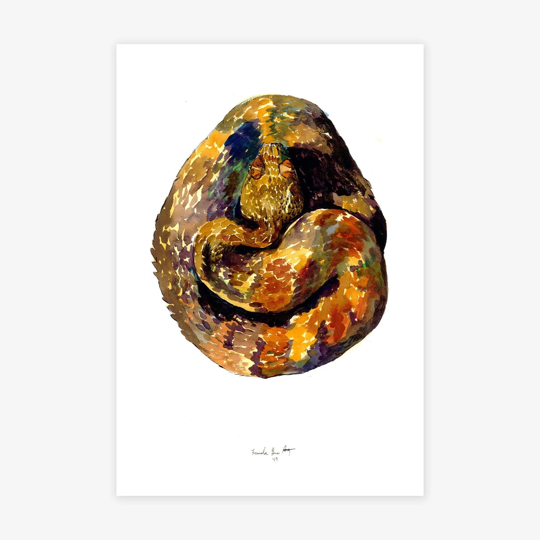 Rattlesnake