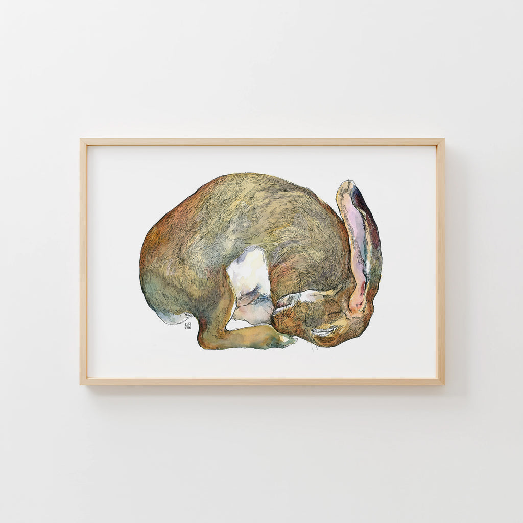 Sleeping Rabbit