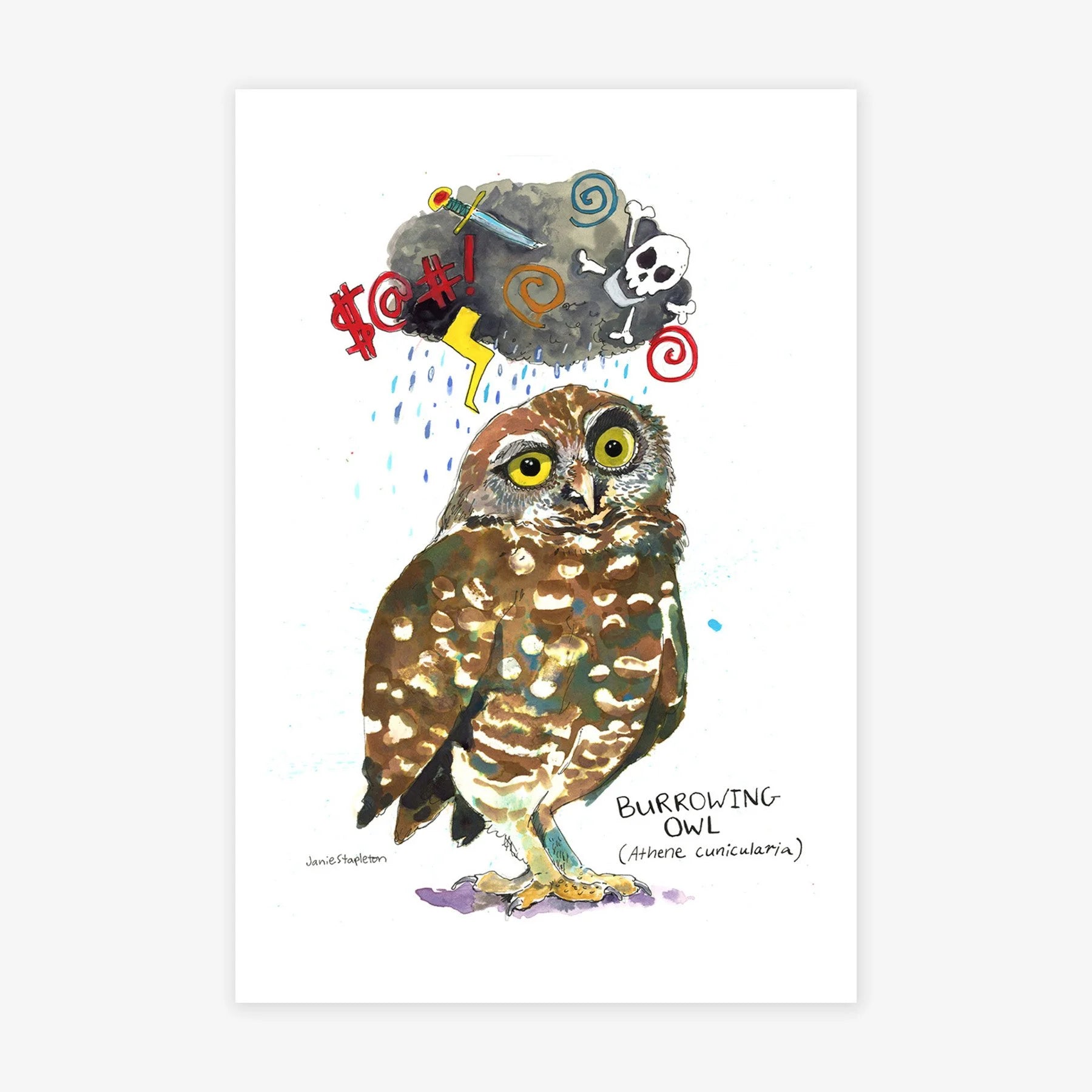 Burrowing Owl