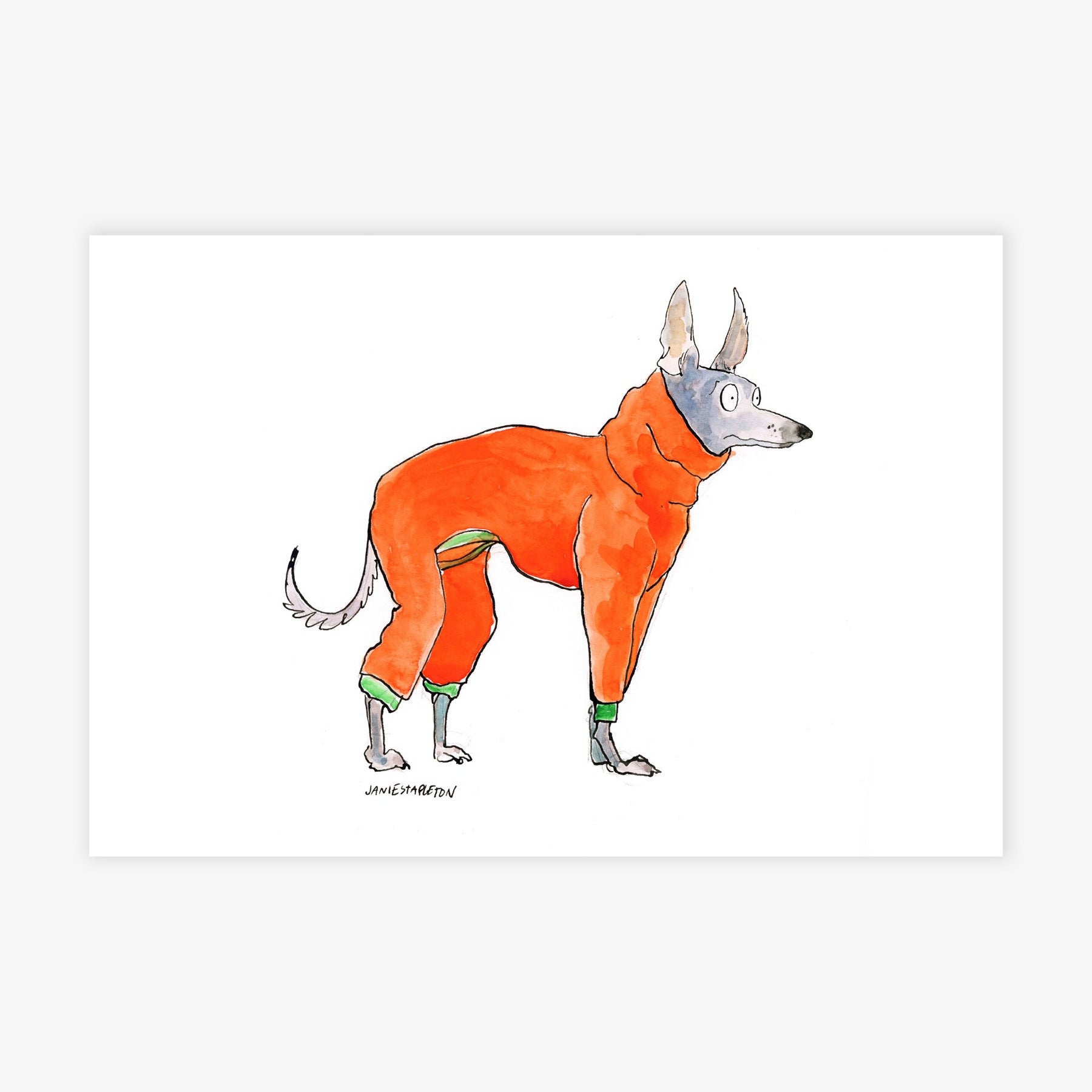 Dog in Orange Turtleneck