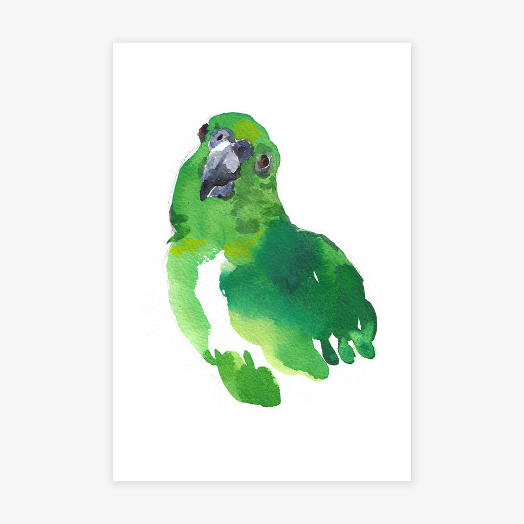 Green Parrot