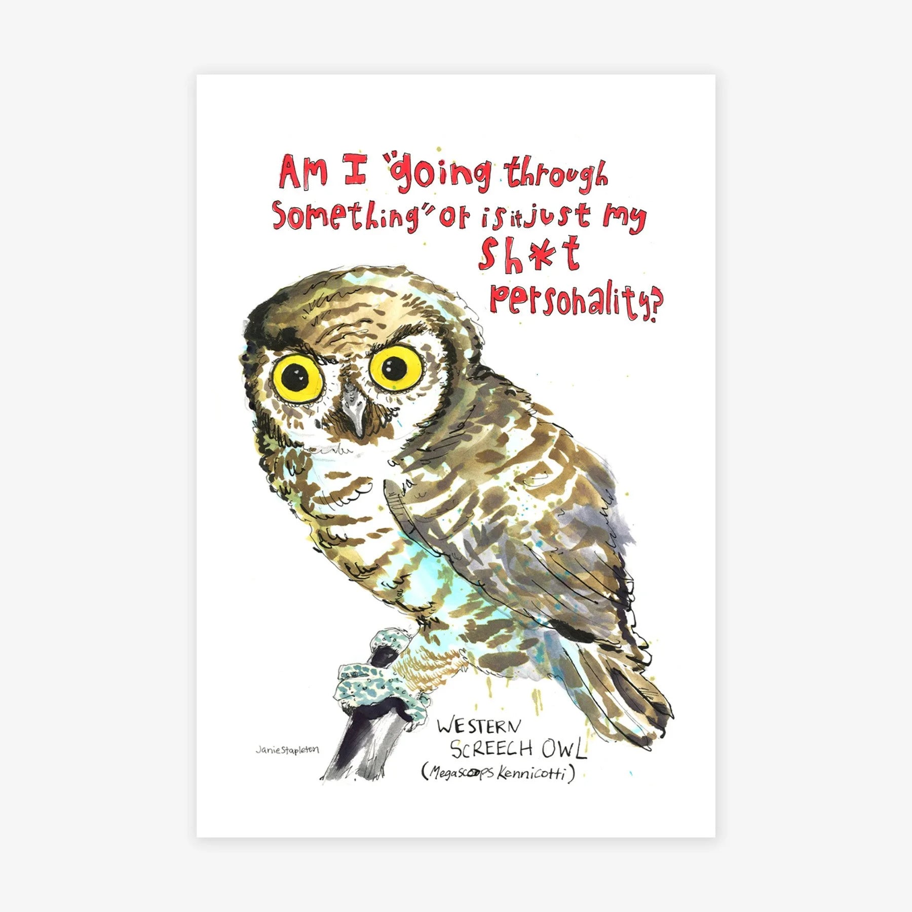 Western Screech Owl