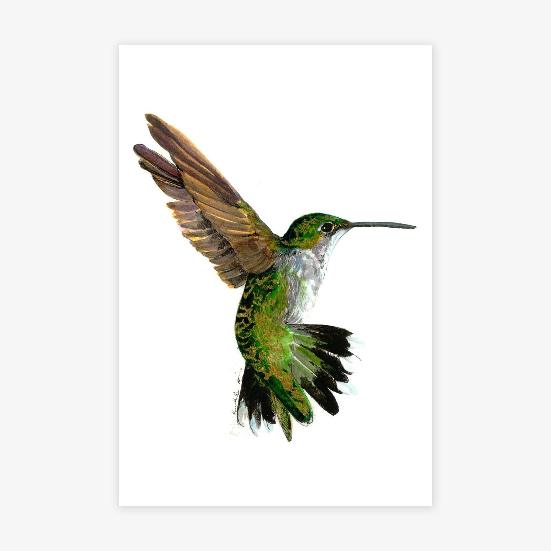 Hummingbird II