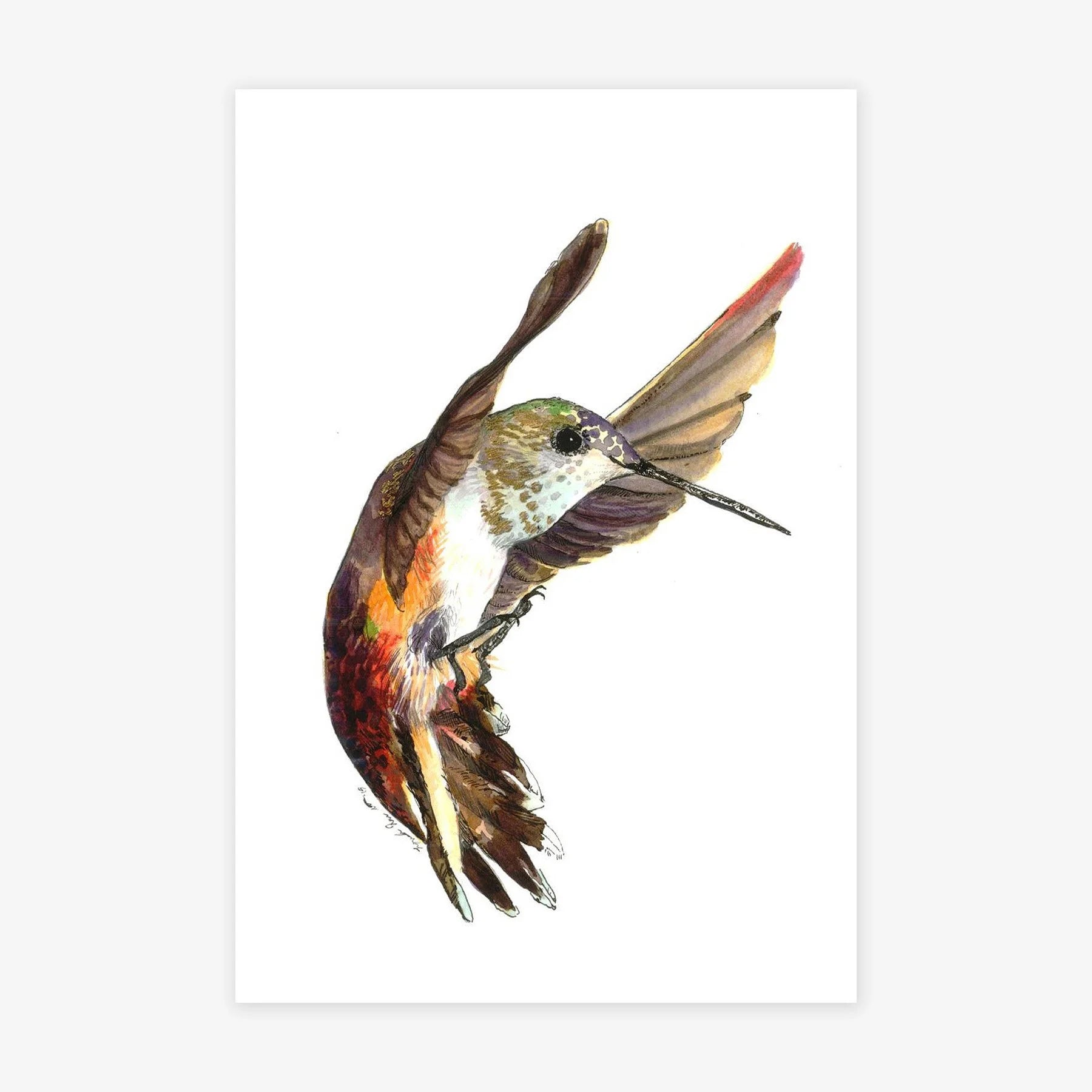Hummingbird I