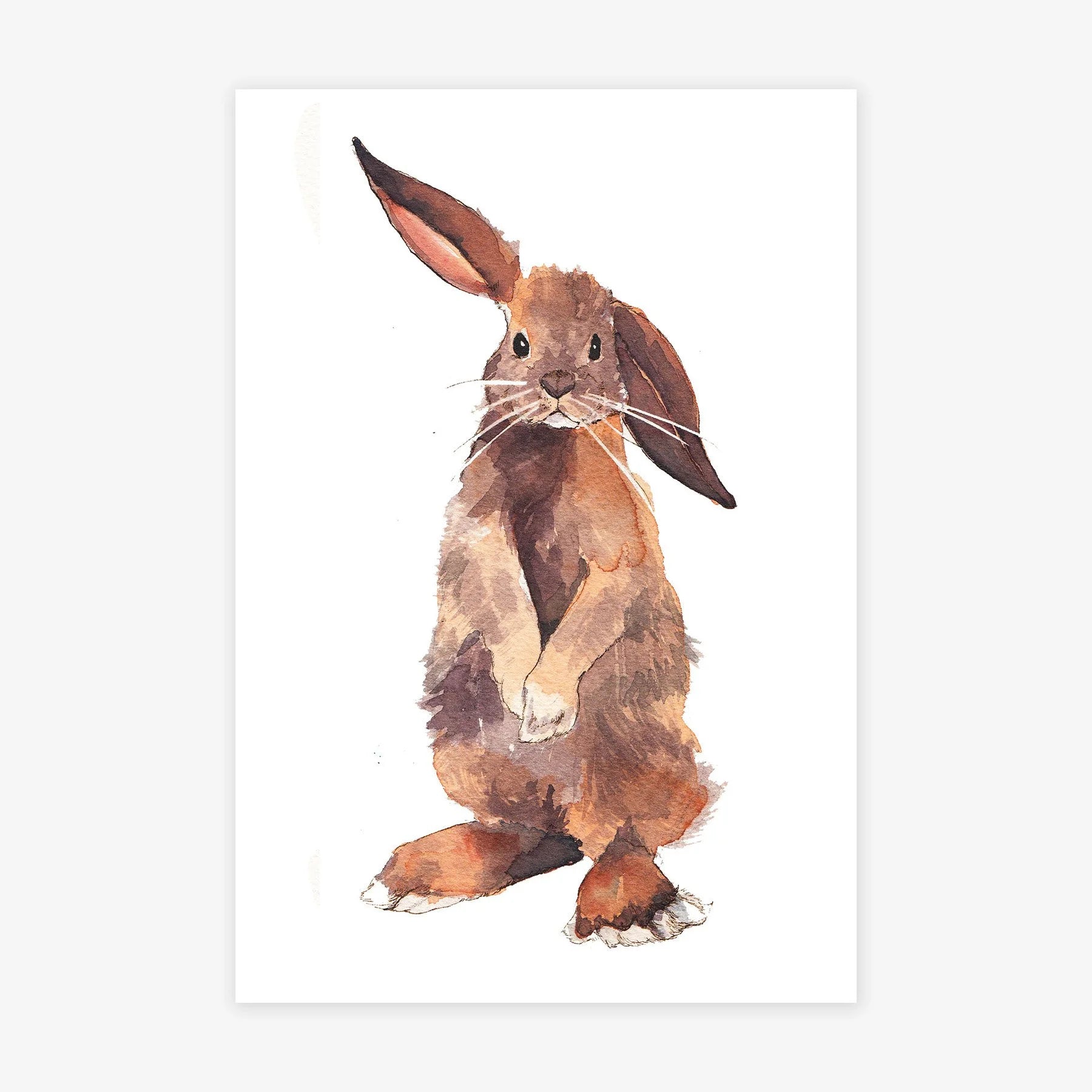 Bunny VI