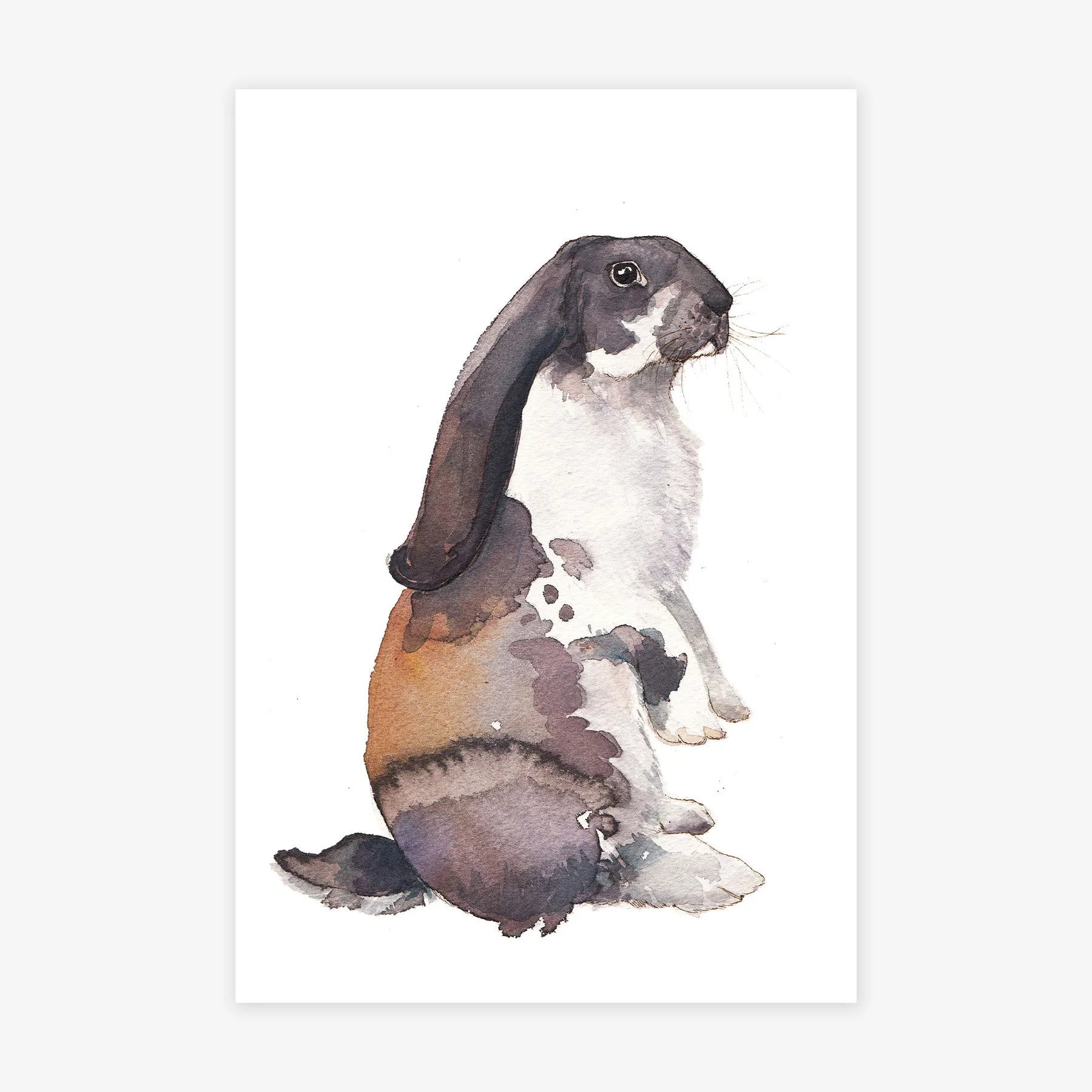 Bunny V