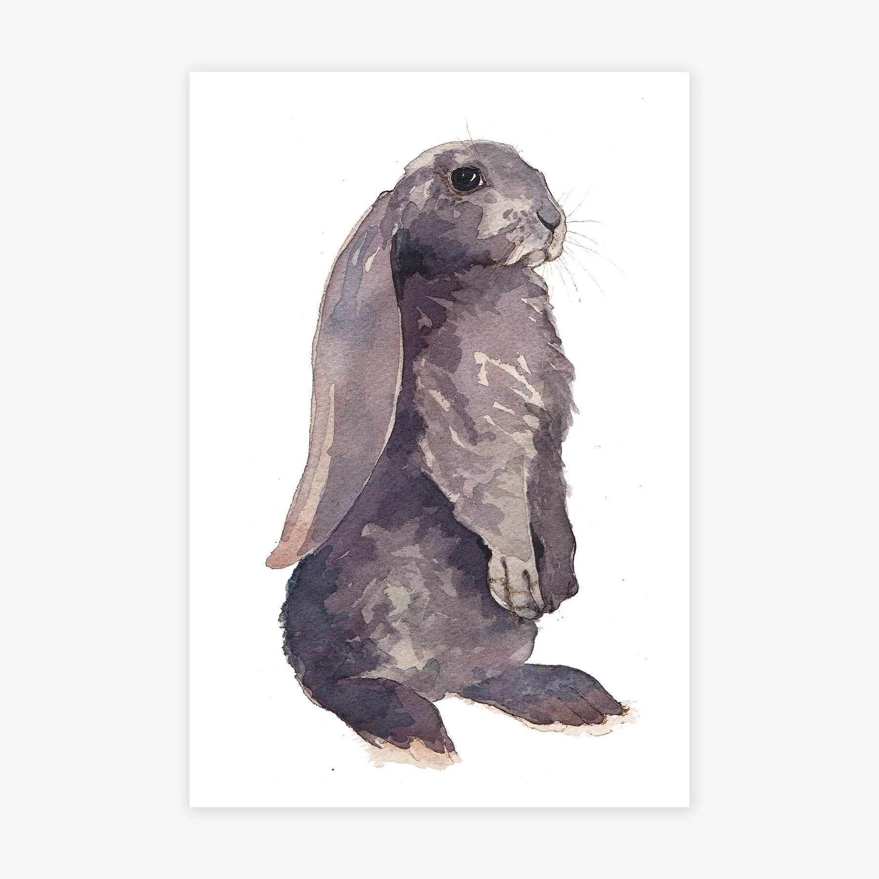 Bunny III