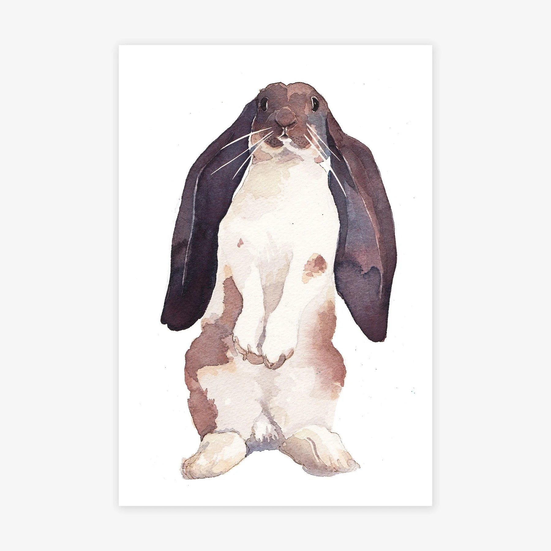 Bunny I