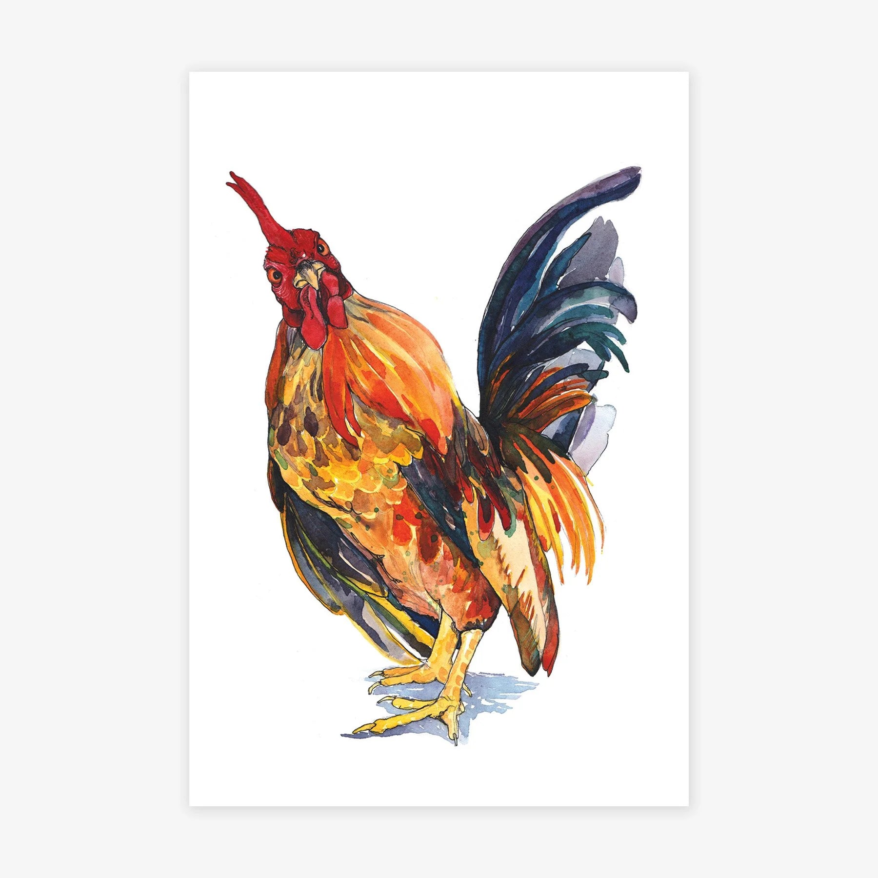 Bantam Rooster