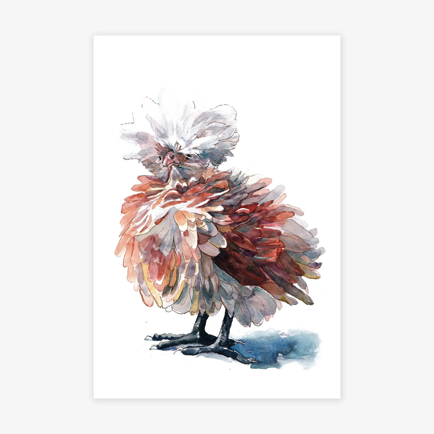 Frizzle Chicken