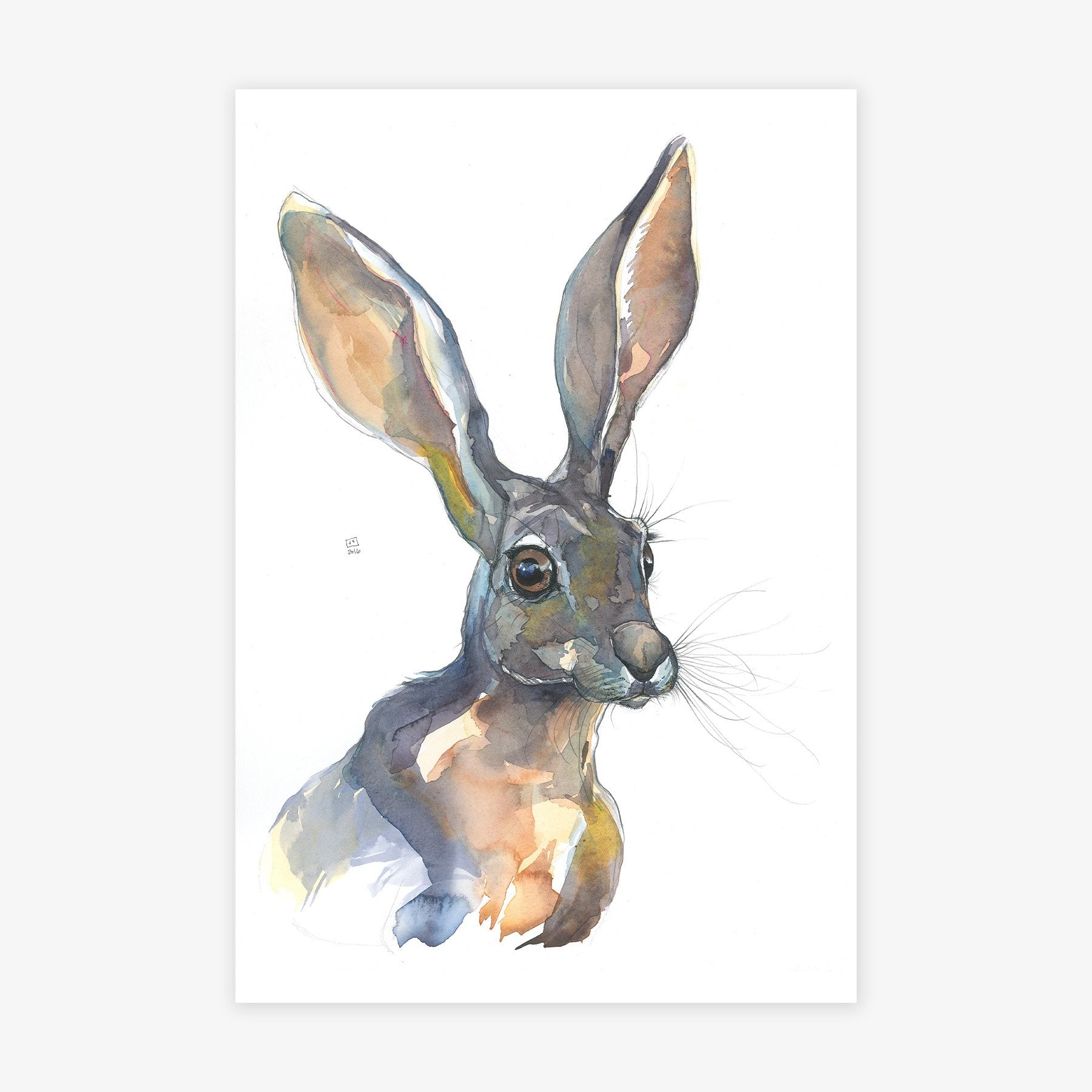 Hare