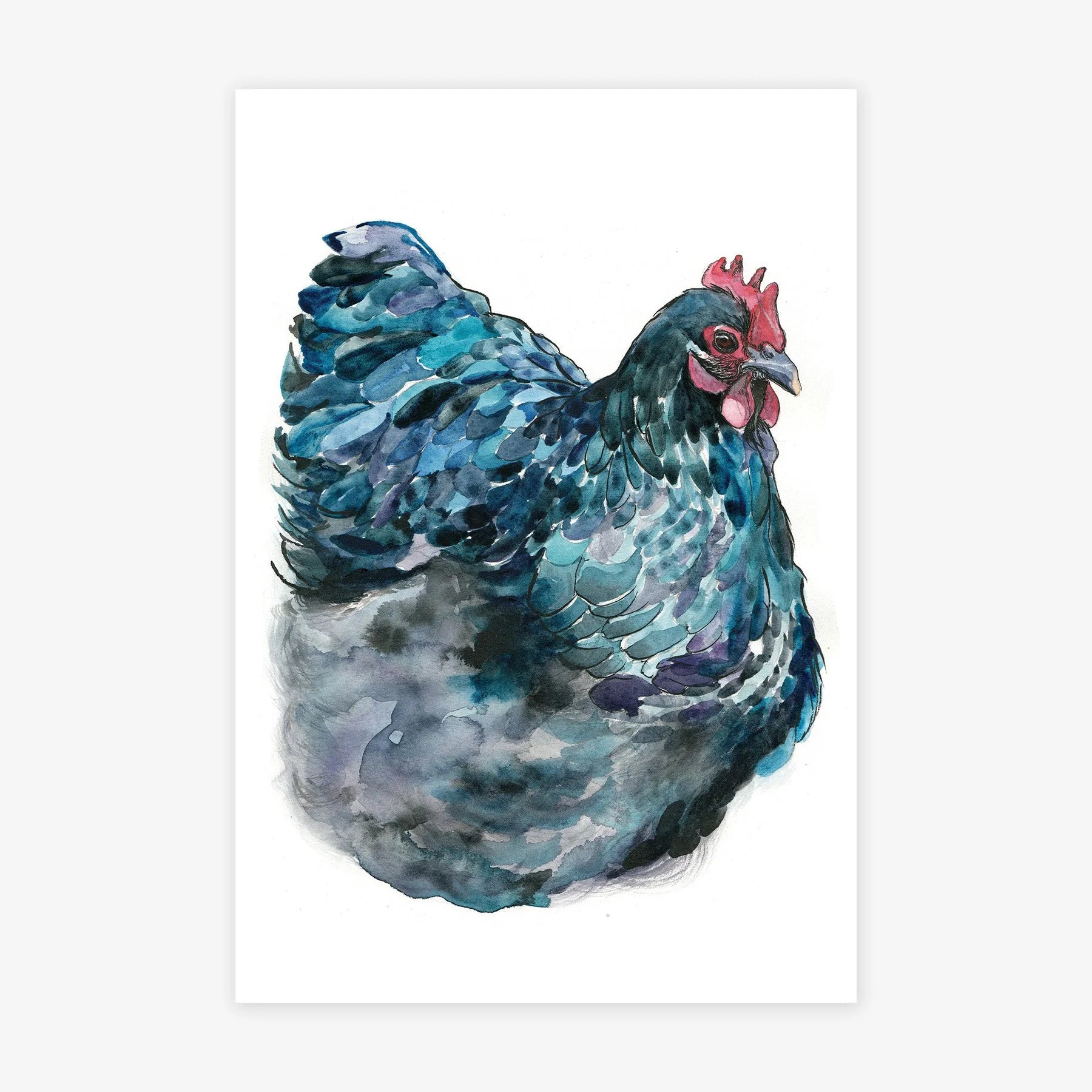 Blue Hen