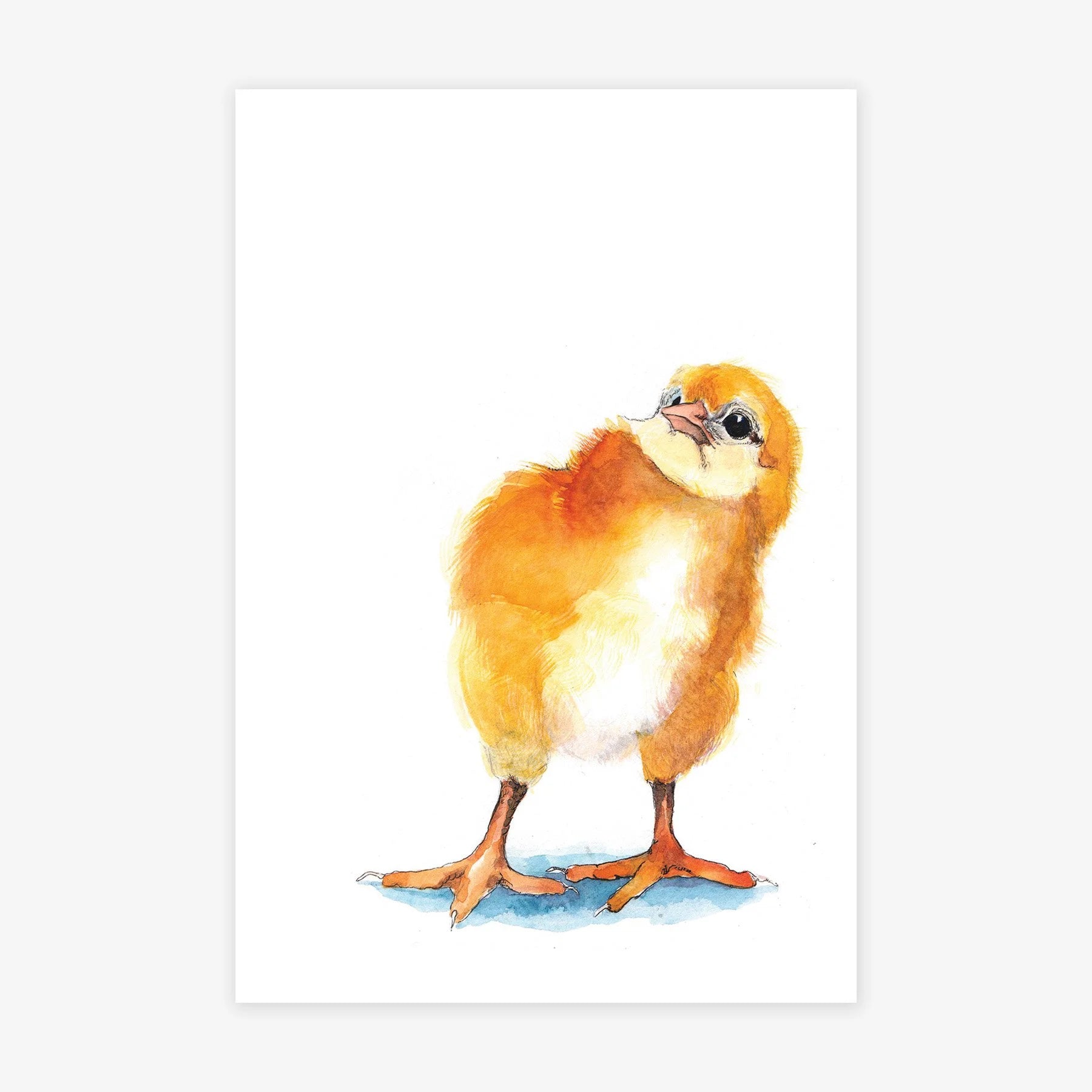 Baby Chick