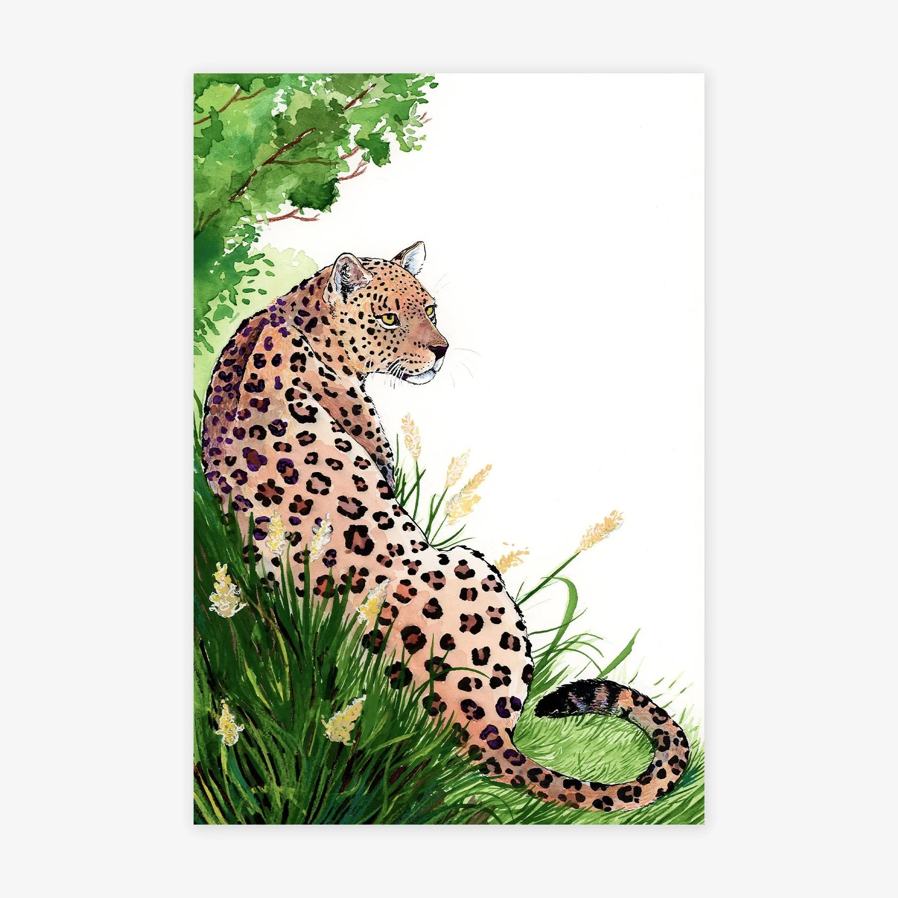 Jungle Cat