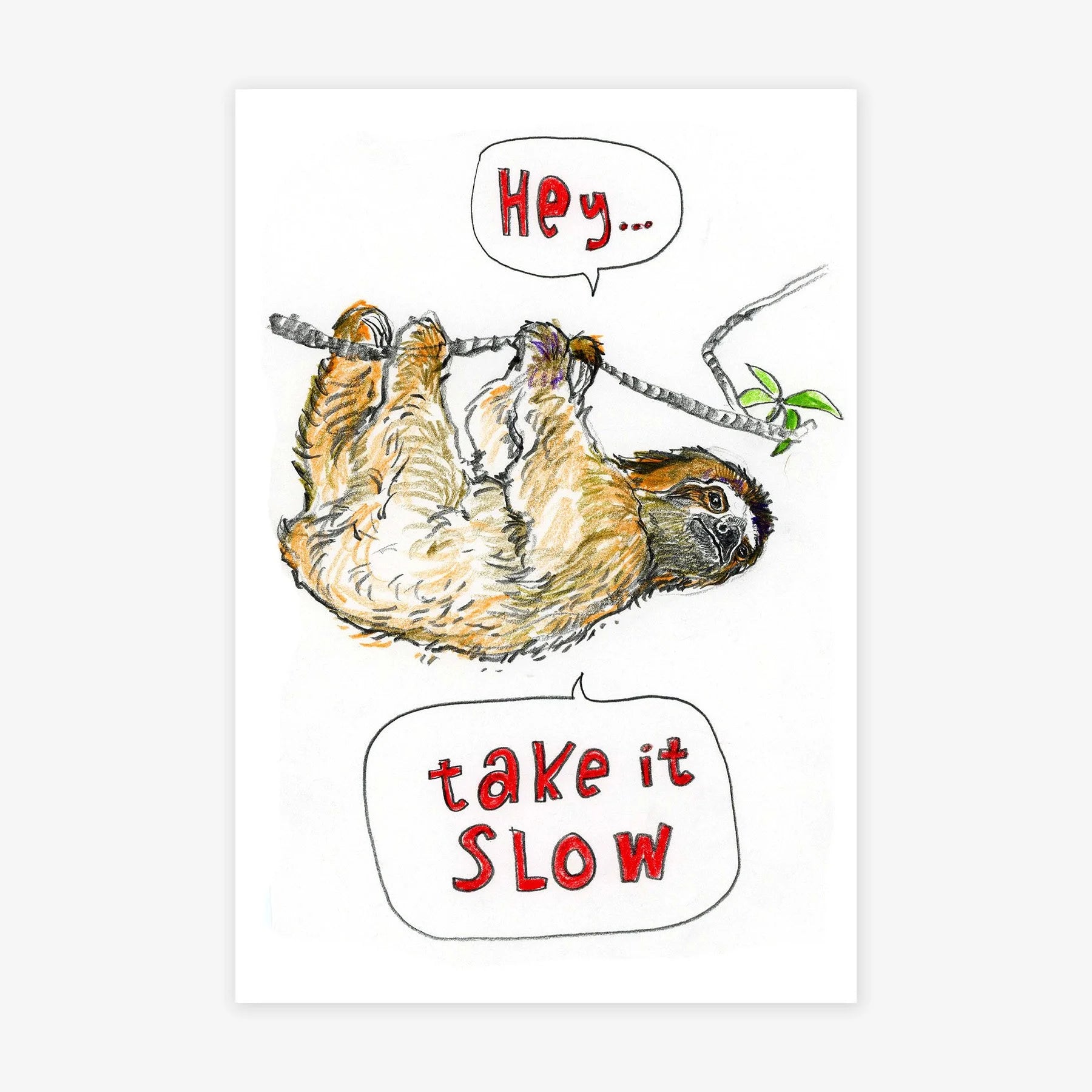 Sloth Wisdom