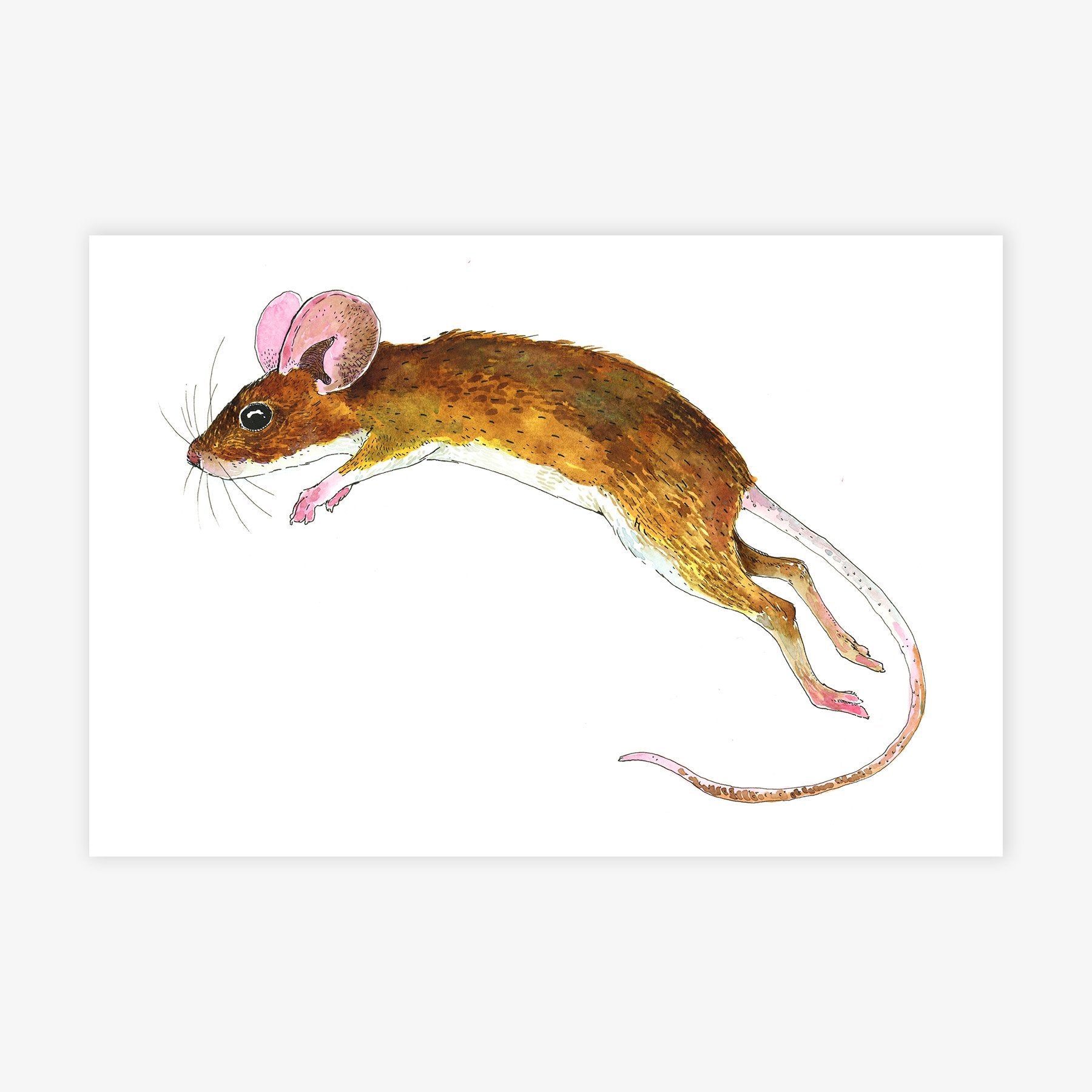 Jumping Mouse