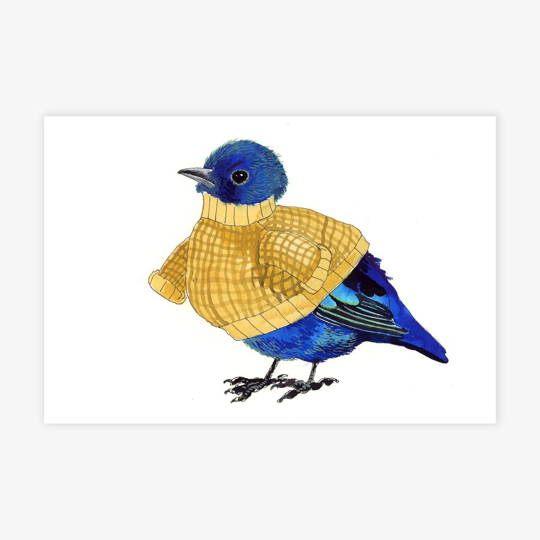 Sweater Bird