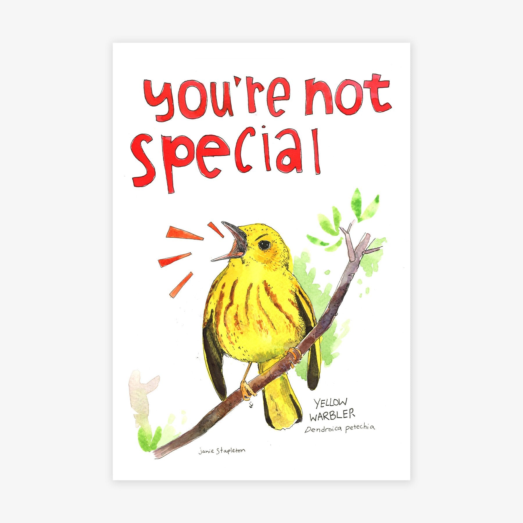 Yellow Warbler