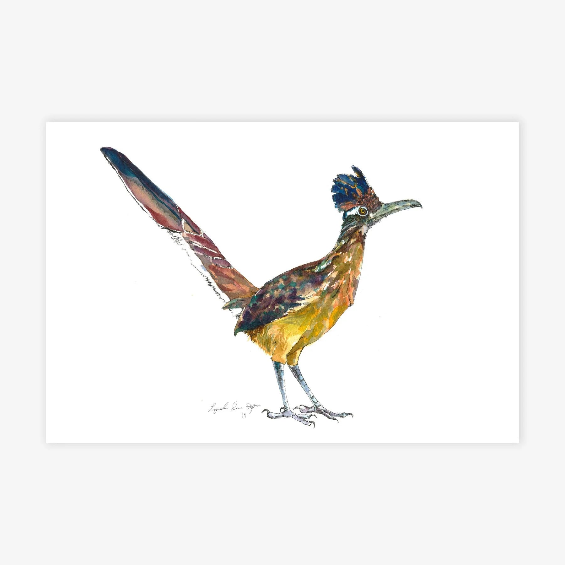 Roadrunner