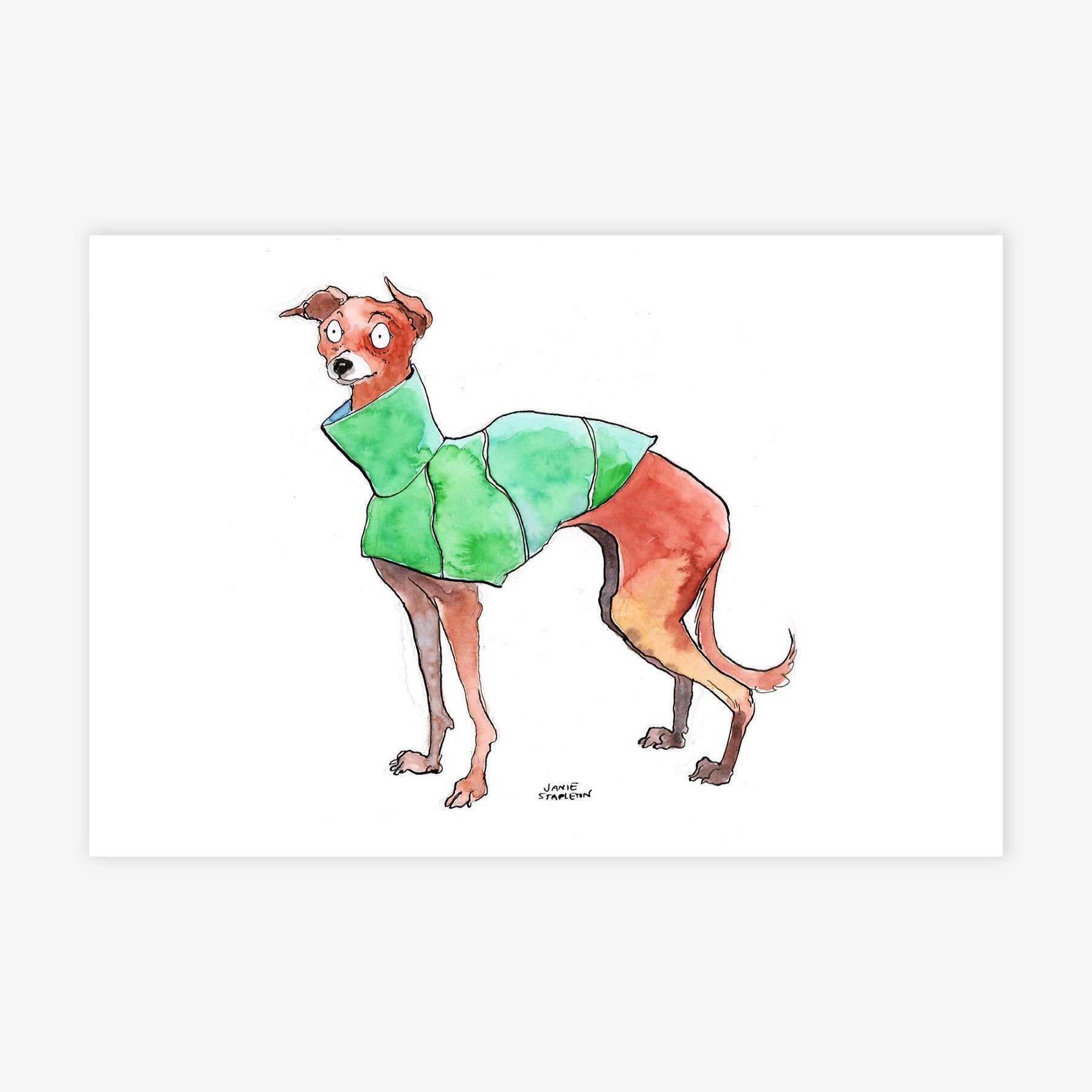 Whippet in a Sweater II