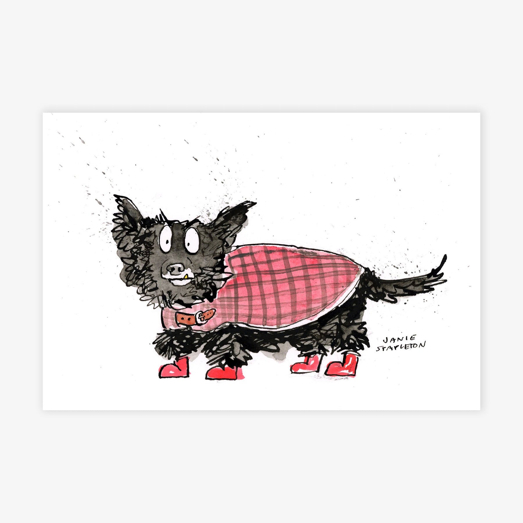 Yorkie in Sweater
