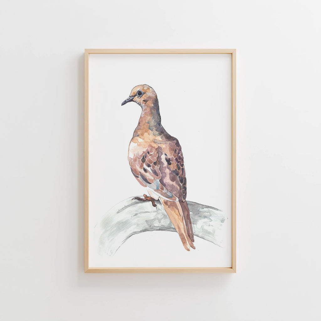 Dove Study