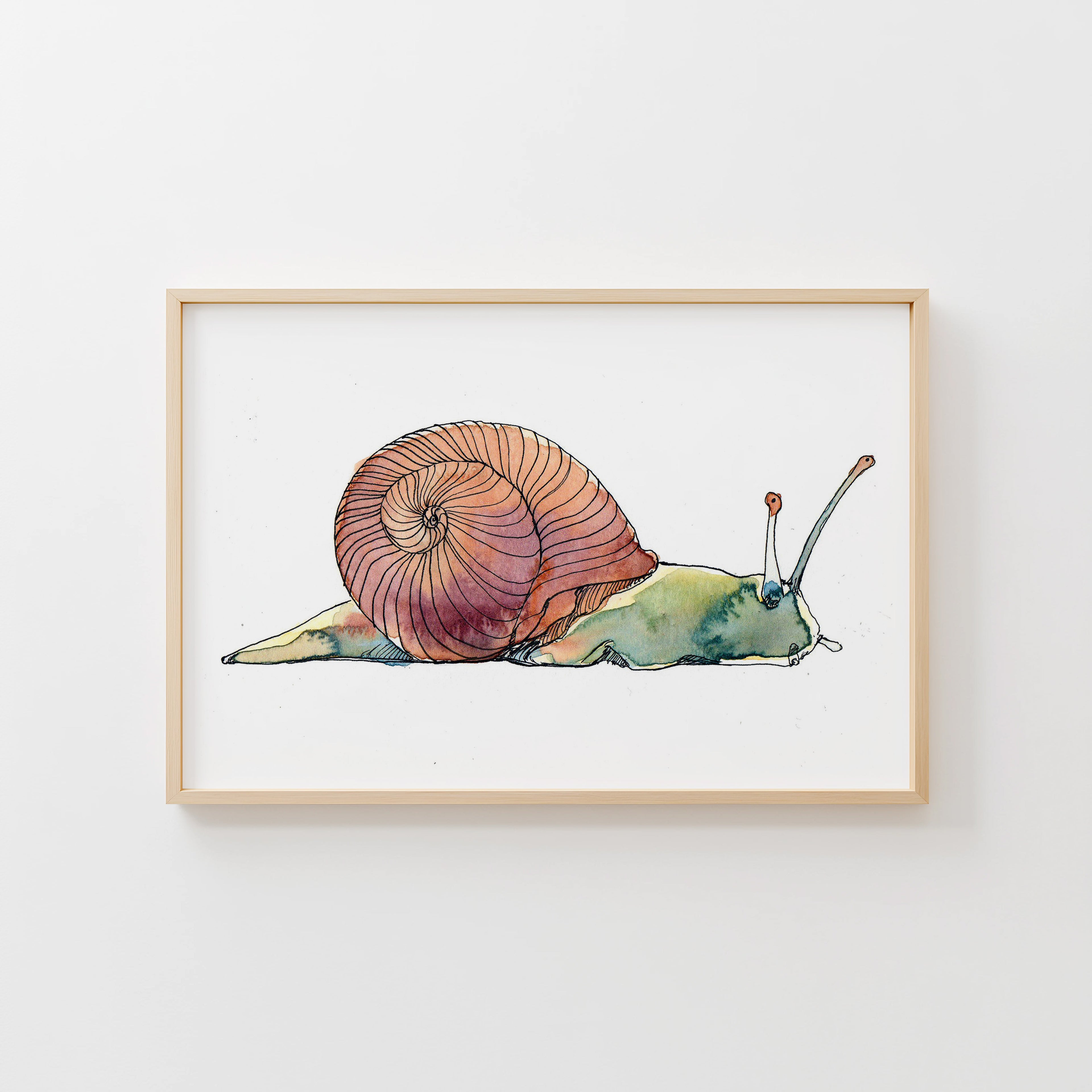 Snail