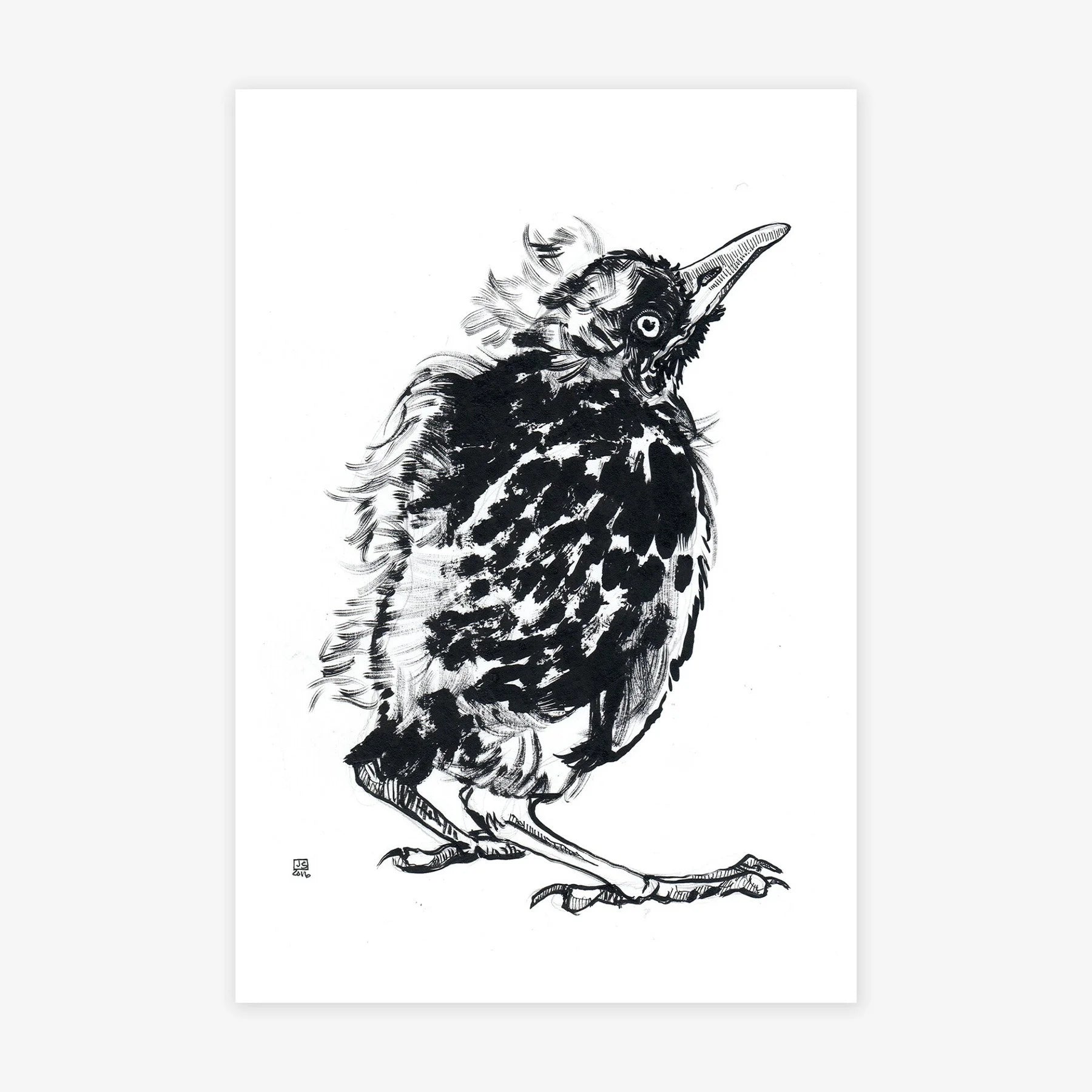 Baby Robin II