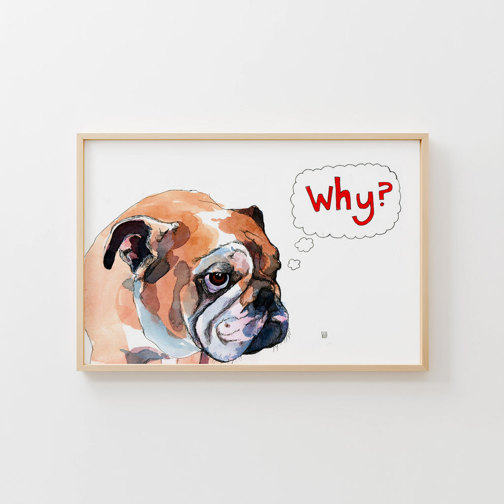 Why