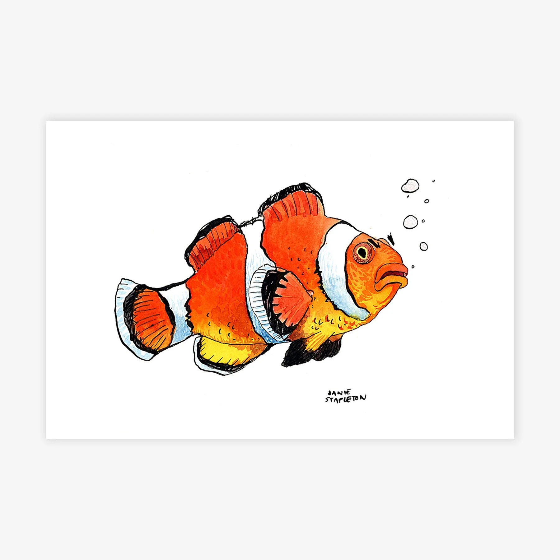 Clownfish Study III