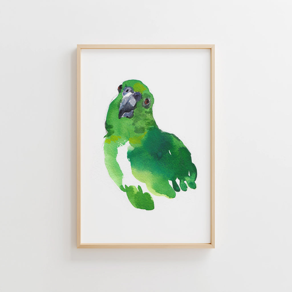 Green Parrot