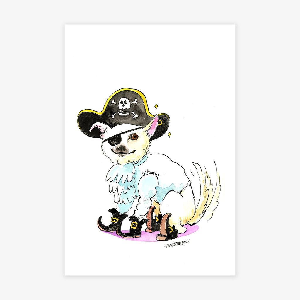 Captain Bopper