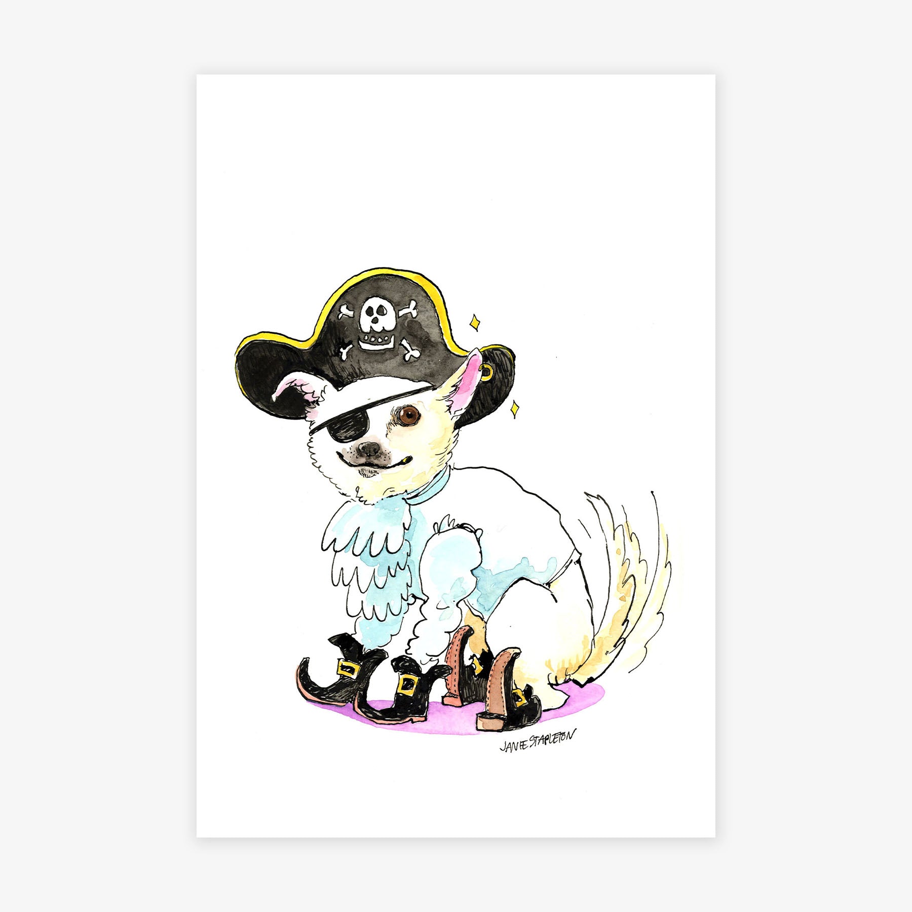 Captain Bopper