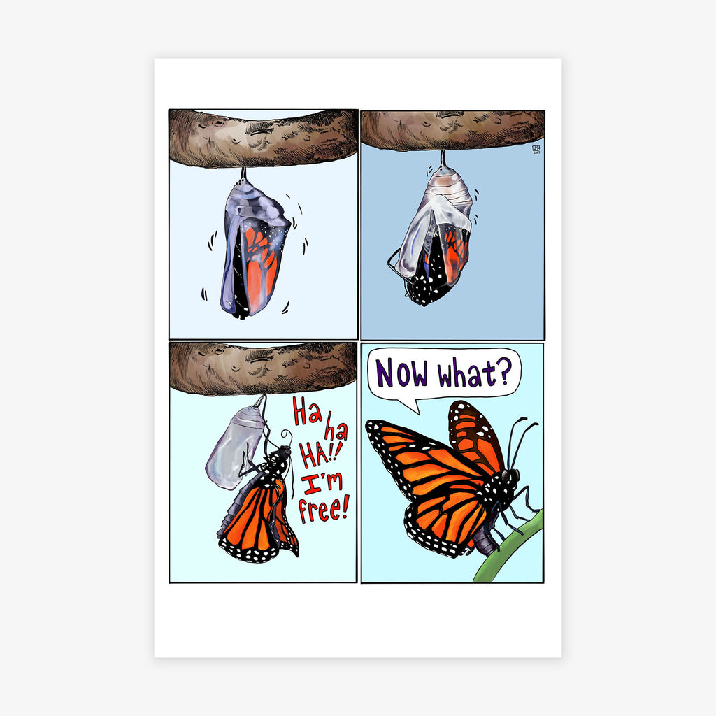 Metamorphosis