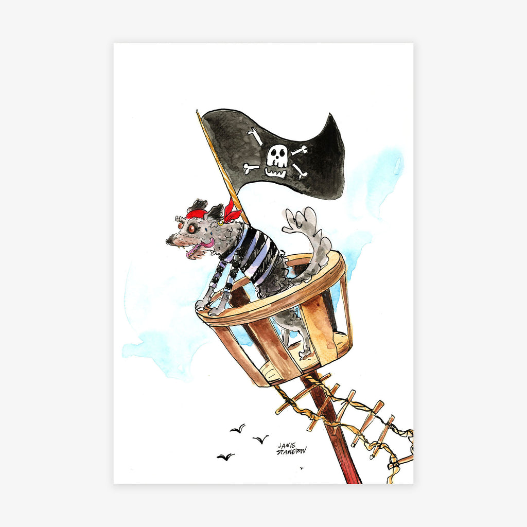 Paco