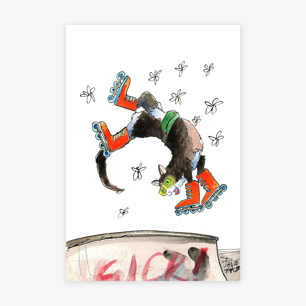 Rollerblading Cat