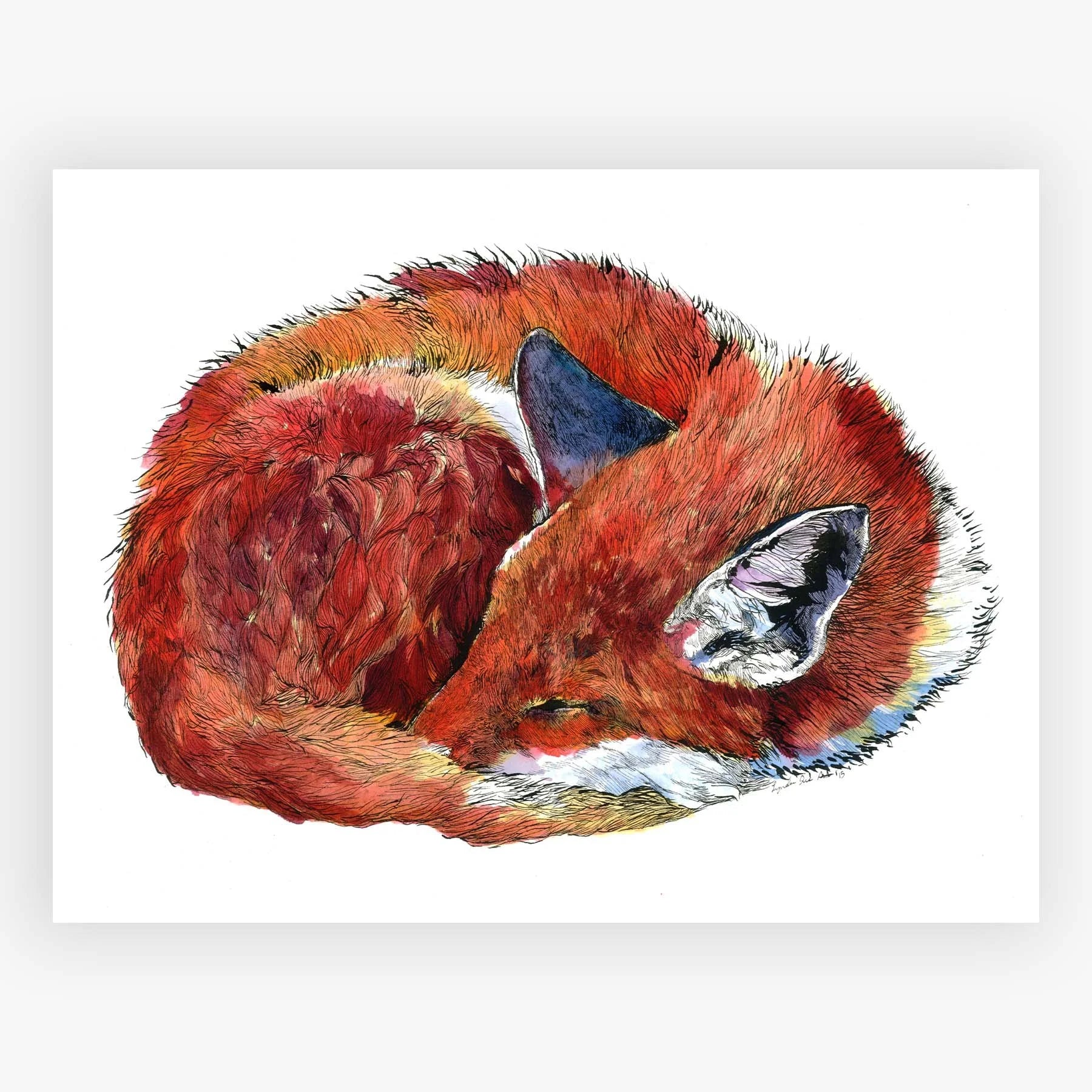 Sleeping Fox