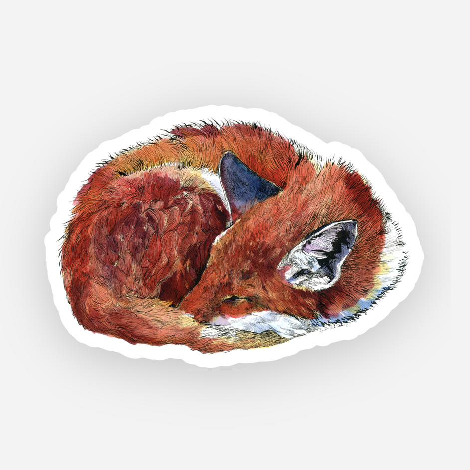 Sleeping Fox Sticker