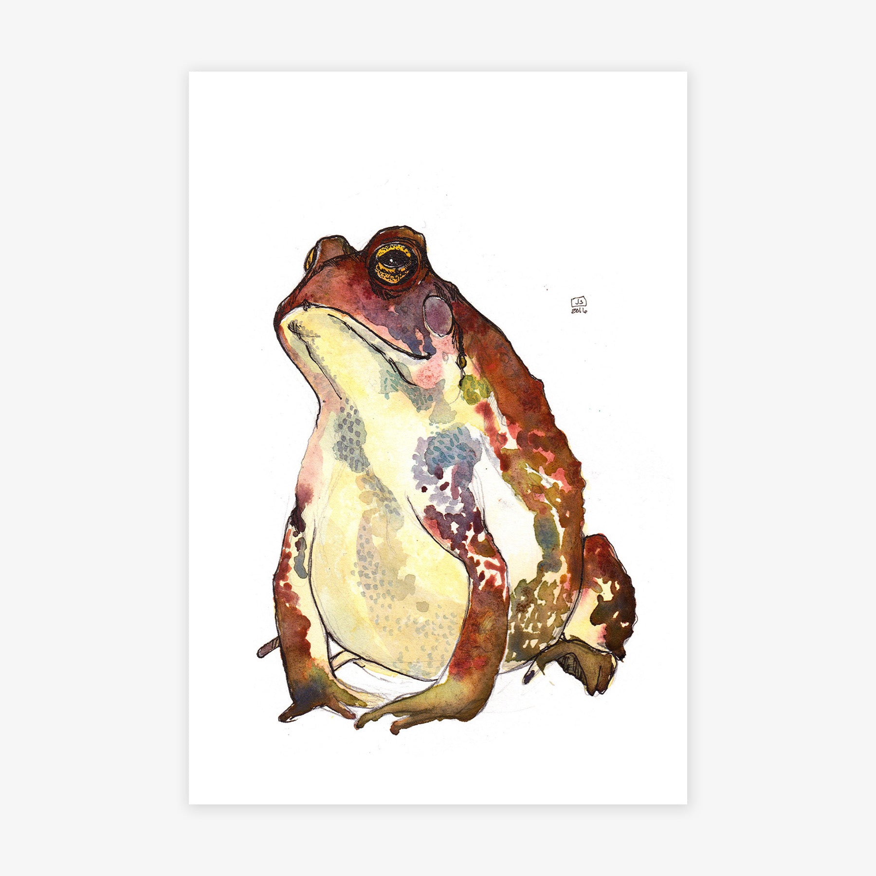 Toad