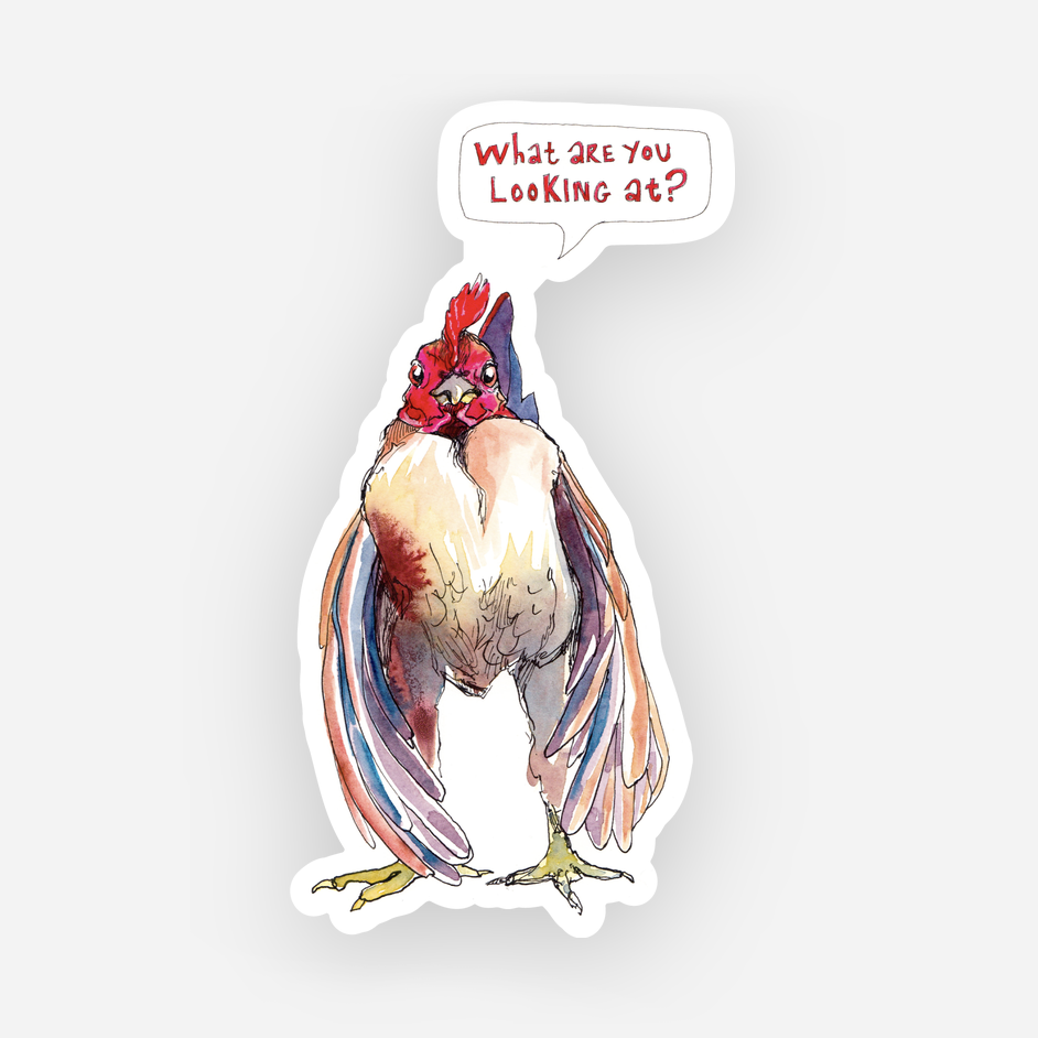 What Are You Looking At? Sticker